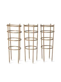 Bamboo Tomato Cages, Set Of 3 17 Bamboo Tomato Cages, Set Of 3 -Plant Care Shop 8613426 4679 bamboo tomato cages 3