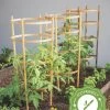 Bamboo Tomato Cages, Set Of 3 1 Bamboo Tomato Cages, Set Of 3 -Plant Care Shop 8613426 7