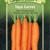 Yaya F1 Carrot Organic Seeds 2 Yaya F1 Carrot Organic Seeds -Plant Care Shop 8613674 01v yaya carrot