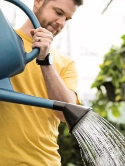 French Blue Watering Can 14 French Blue Watering Can -Plant Care Shop ChrisAhrensSquare 0118 tif