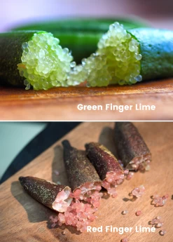 Rare Citrus Bundle: Green Finger Lime & Red Finger Lime