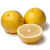 White Grapefruit (Citrus Paradisi) -Plant Care Shop E68A7D42 0C1E 4332 9541 A9E7D8245357