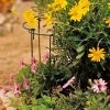 Curved Linking Stakes -Plant Care Shop GS35240 02 tif