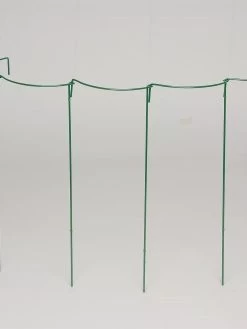 Curved Linking Stakes -Plant Care Shop GS35240 05S tif