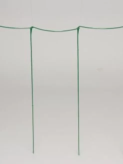 Curved Linking Stakes -Plant Care Shop GS35241 04S tif