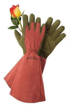 Rose Gloves -Plant Care Shop GS36874 01Z tif