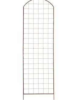 Featured Products -Plant Care Shop GS38689 03S tif