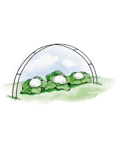 Super Hoops, Set Of 6 -Plant Care Shop GS39423 02S 3 4