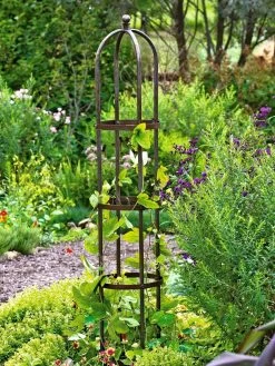 Jardin Bird Cage Support, 26" -Plant Care Shop GS39529 01 tif