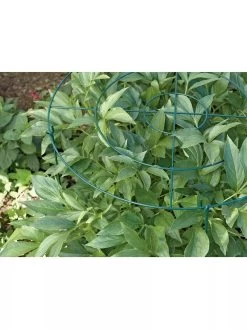 Grow Through Supports, Set Of 3 -Plant Care Shop GS40172 01 1