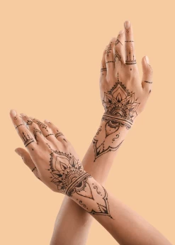 Henna (Lawsonia Inermis) -Plant Care Shop Henna Lawsoniainermis PlantsforSale SowExotic.com Eugeniareinwardtiana 3