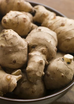 Jerusalem Artichoke (Helianthus Tubersosus) -Plant Care Shop Jerusalemartichokeplantforsalesowexoticnursery 1