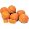 Page Mandarin (Citrus Reticulata 'Page') -Plant Care Shop PageMandarinSowExotic