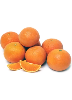 Page Mandarin (Citrus Reticulata 'Page')