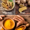 Roots Bundle: Turmeric, Finger Root, & Ginger -Plant Care Shop RootsBundleFingerRoot GIngerTurmeric