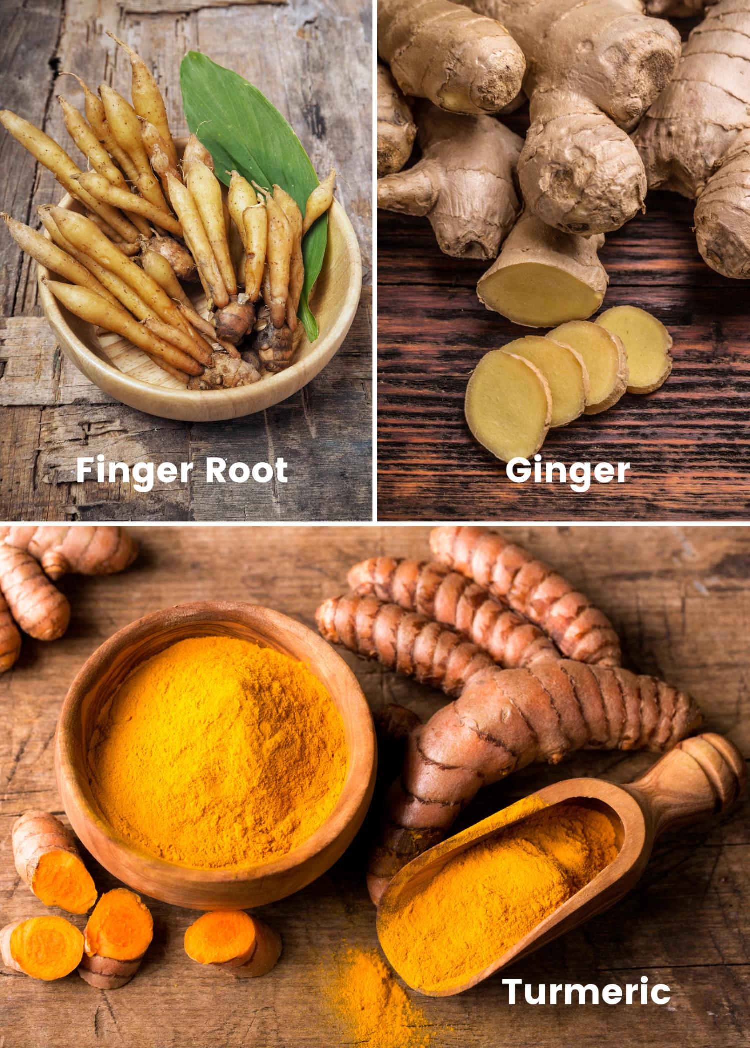 Roots Bundle: Turmeric, Finger Root, & Ginger 3 Roots Bundle: Turmeric, Finger Root, & Ginger