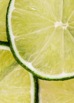 Key Lime (Citrus × Aurantiifolia) -Plant Care Shop Sow Exotic Plant Nursery key lime 1