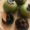 Black Sapote ‘Wilson’ (Diospyros Nigra) 2 Black Sapote ‘Wilson’ (Diospyros Nigra) -Plant Care Shop blacksapotefruittree Diospyrosdigyna sowexoticplantNursery fce0b4cf 4d67 494a 8434 d2772a91631f