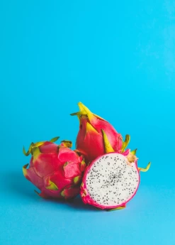 Dragon Fruit, White 'Vietnamese Jaina' (Hylocereus Undatus) 9 Dragon Fruit, White 'Vietnamese Jaina' (Hylocereus Undatus) -Plant Care Shop dragonfruitpitayasowexotic