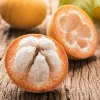 Santol (Sandoricum Koetjape) 2 Santol (Sandoricum Koetjape) -Plant Care Shop fresh santol thai fruit sow exotic