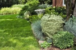 ShrubJacket Covers -Plant Care Shop gs39166 02