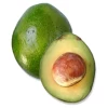 Avocado 'Monroe' (Persia Americana) -Plant Care Shop monroeavocado