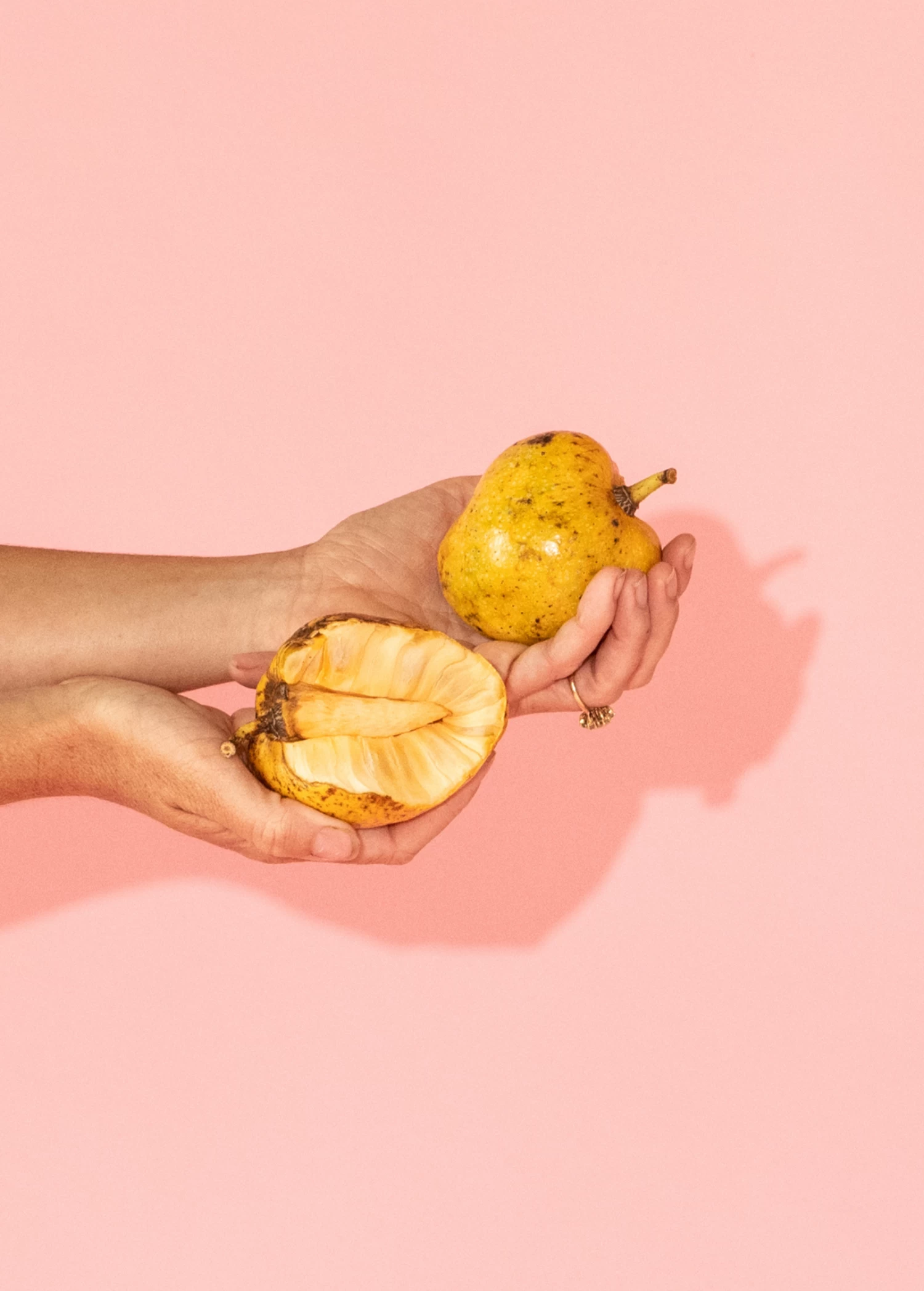 Pond Apple (Annona Glabra) 3 Pond Apple (Annona Glabra)