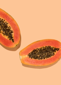 Papaya, 'Dwarf Red Lady' (Carica Papaya) -Plant Care Shop sowexoticpapaya 1