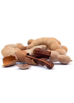 Tamarind (Tamarindus Indica) -Plant Care Shop sweetthaitamarindsowexotic