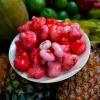 Wax Jambu, Red (Syzygium Samarangense) -Plant Care Shop waxjambufruitsowexotic